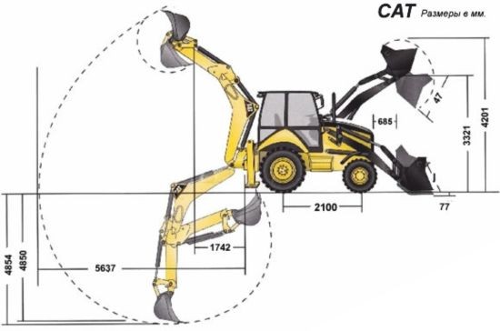 cat428